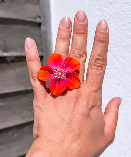 Sunset Solaris (Deluxe)