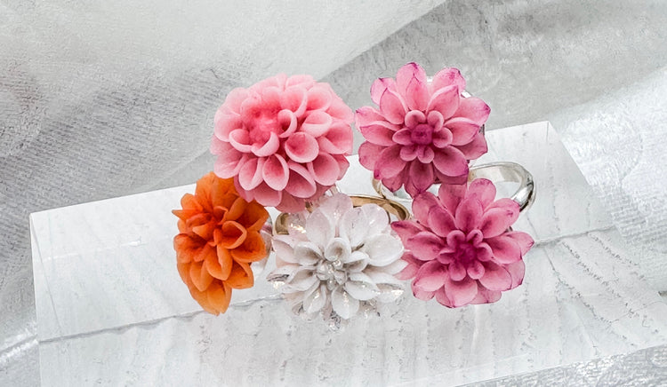 Dahlia